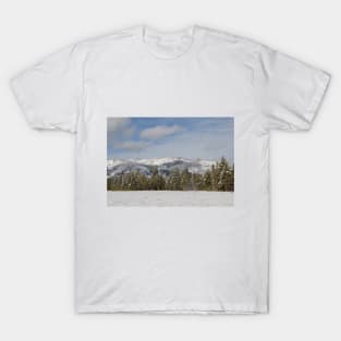 Winter Wonderland in Wyoming! T-Shirt